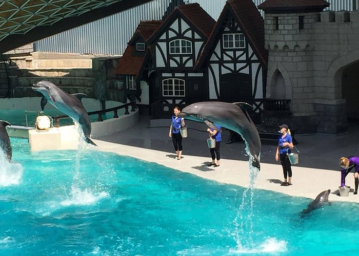 Marineland Marineland under investigation after allegedly holding another ... photo