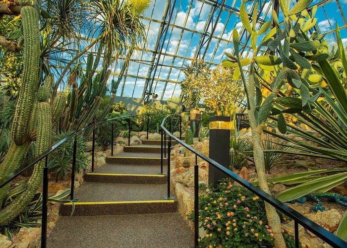 Muttart Conservatory Muttart Conservatory Tours - Book Now | Expedia photo