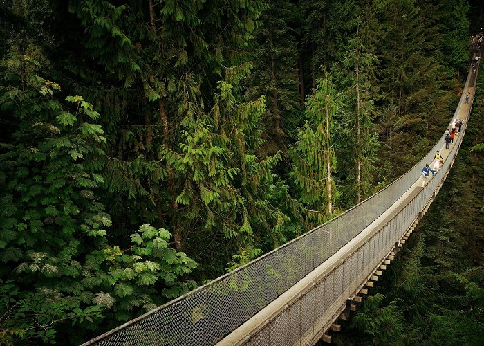 Capilano Suspension Bridge Park Capilano Suspension Bridge & Park — Park Review | Condé Nast Traveler photo