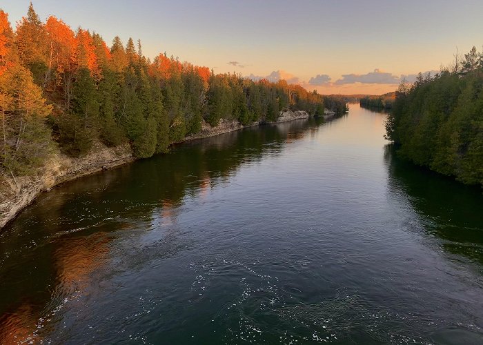 Ferris Provincial Park Ranney Gorge Suspension Bridge (Campbellford, Ontario) : r/ontario photo