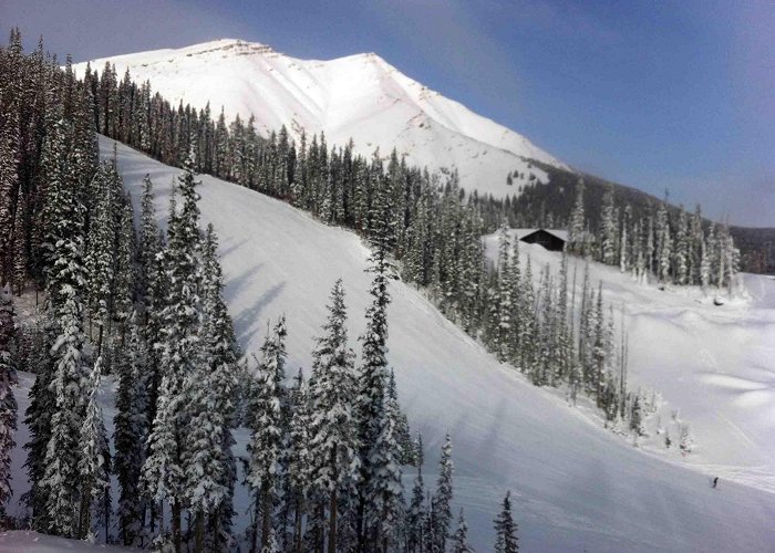 Nakiska Ski Area Skiing Nakiska in Kananaskis Country, Alberta, Canada photo