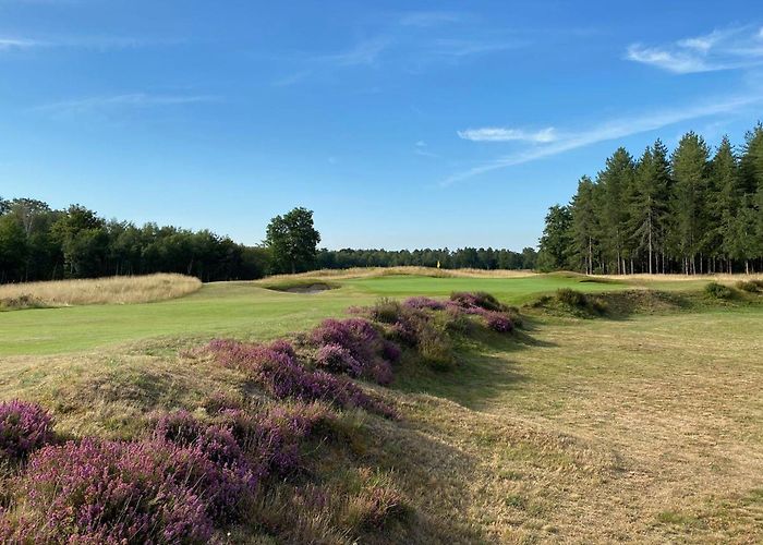 Eindhovensche Golf Club Eindhovensche Golfclub • Tee times and Reviews | Leading Courses photo