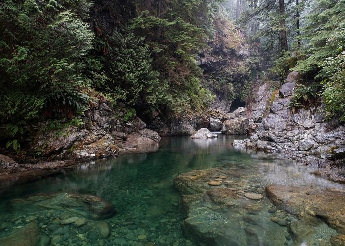 Lynn Canyon Park Twin Falls | Lynn Canyon Park & Suspension Bridge photo