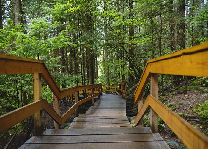 Lynn Canyon Park Boardwalk trail replacement underway in Lynn Canyon Park - North ... photo