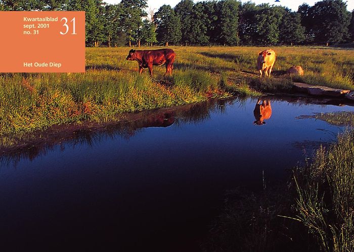 Stichting Kunstskibaan Drenthe Kwartaalblad nr.31 by Koninklijke Van Gorcum B.V. - Issuu photo