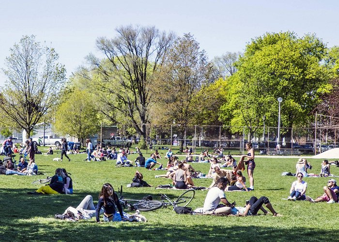 Trinity Bellwoods Park Trinity Bellwoods Park is bumping and people in Toronto are mad ... photo