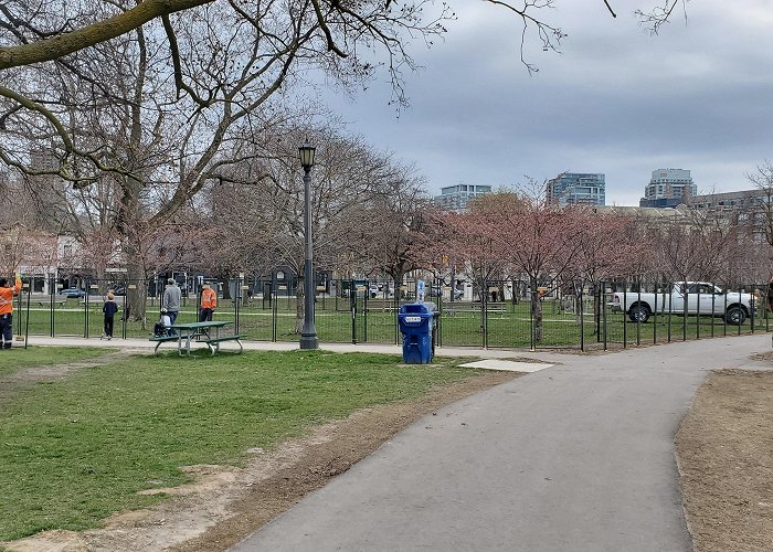 Trinity Bellwoods Park Fences are put up around the Cherry Blossoms at Trinity Bellwoods ... photo