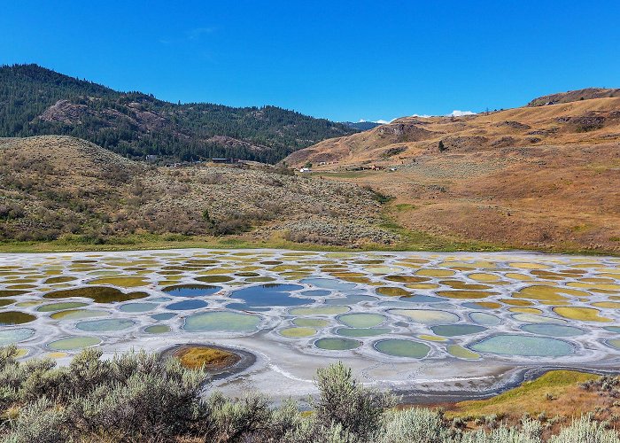 Spotted Lake Spotted Lake, British Columbia - WorldAtlas photo