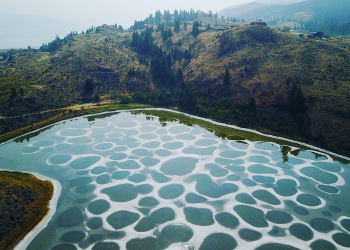 Spotted Lake This incredible lake in British Columbia is covered in colourful spots photo