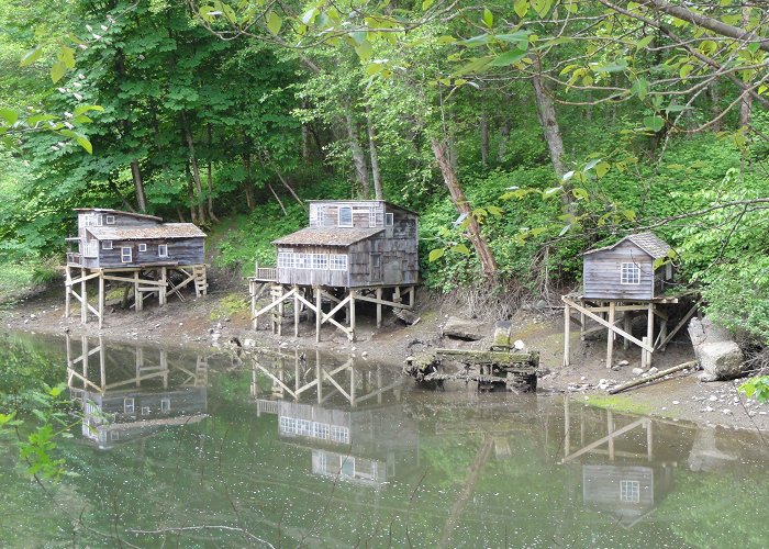 North Vancouver Maplewood Farm The Maplewood Mudflats, Dollarton – then and now — North Shore ... photo