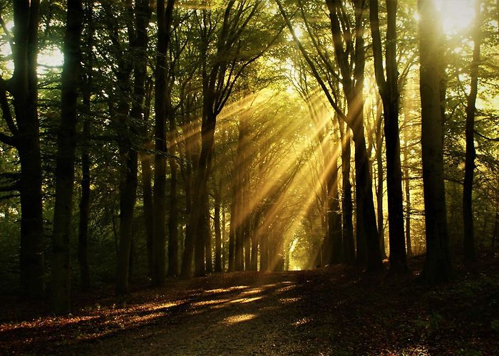 De Twee Marken The Top Hiking Trails in Utrechtse Heuvelrug | Outdooractive photo