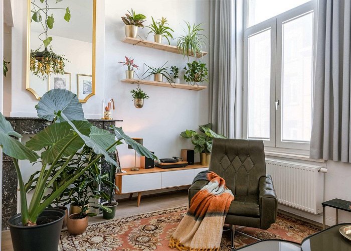 Kattekensberg Brasschaat Vacation Homes: House Rentals & More | Vrbo photo