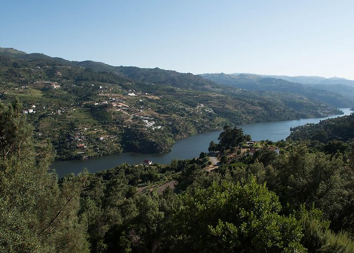 Baiao Municipal Museum Villa Covela - Boutique photo