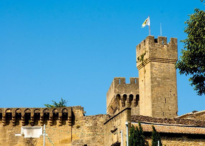 Chateau de l Emperi Castle of the Empéri (Salon-de-Provence) | Provence-Alpes-Côte d ... photo