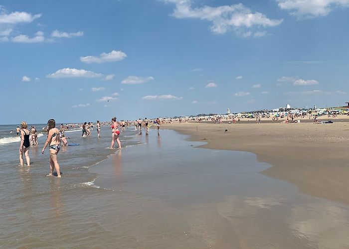 Rozenstein Golf Wassenaar, The Hague Vacation Rentals: house rentals & more | Vrbo photo