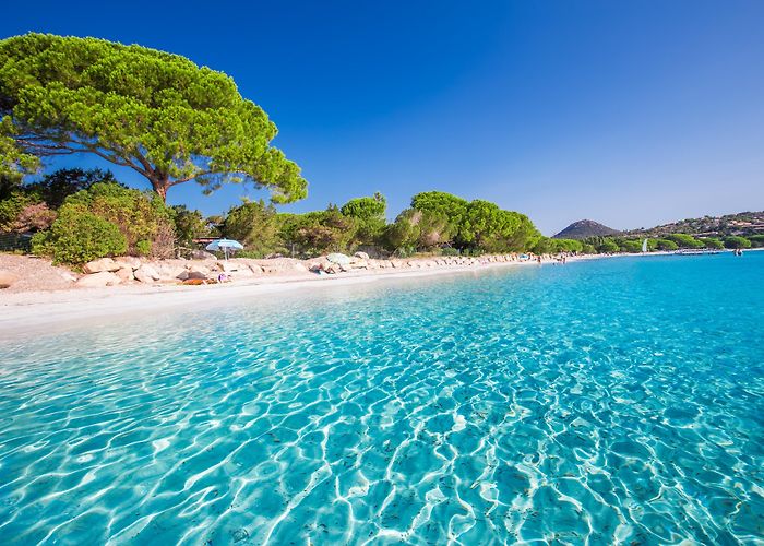 Santa Giulia Bay Visit Porto-Vecchio: 2024 Travel Guide for Porto-Vecchio, Corsica ... photo