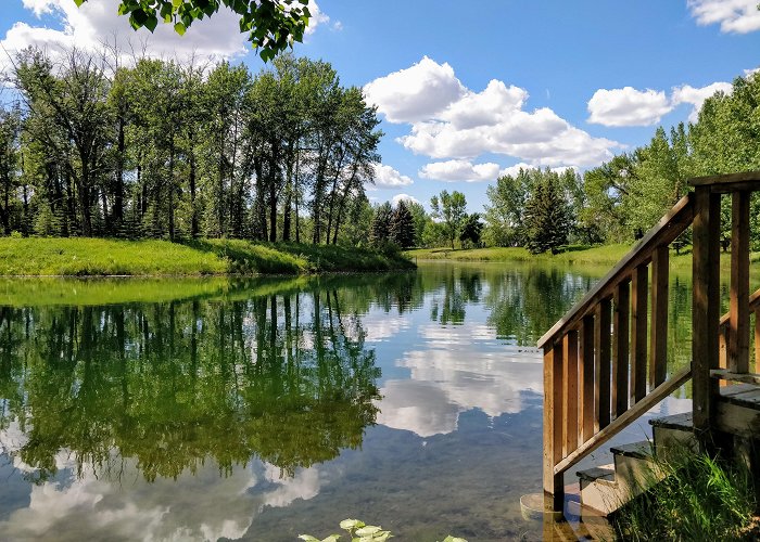 Carburn Park Carburn Park. Best park in Calgary? : r/Calgary photo