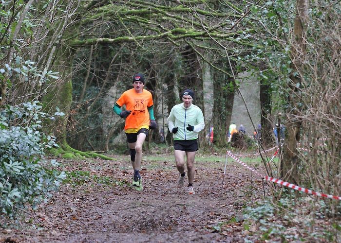 Avondale Forest Park Leinster Intermediate & Masters Cross Country & Juvenile Relays ... photo