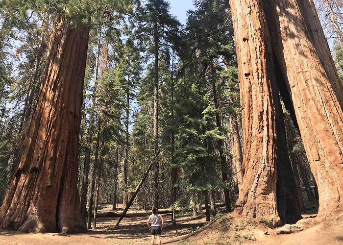 Porterville golf course Visit Porterville: 2024 Travel Guide for Porterville, California ... photo