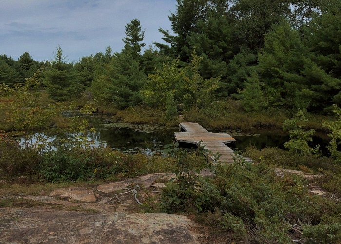 Six Mile Lake Provincial Park Six Mile Lake Provincial Park: Planning a Last Minute Group ... photo