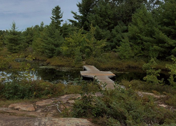 Six Mile Lake Provincial Park Six Mile Lake Provincial Park: Planning a Last Minute Group ... photo