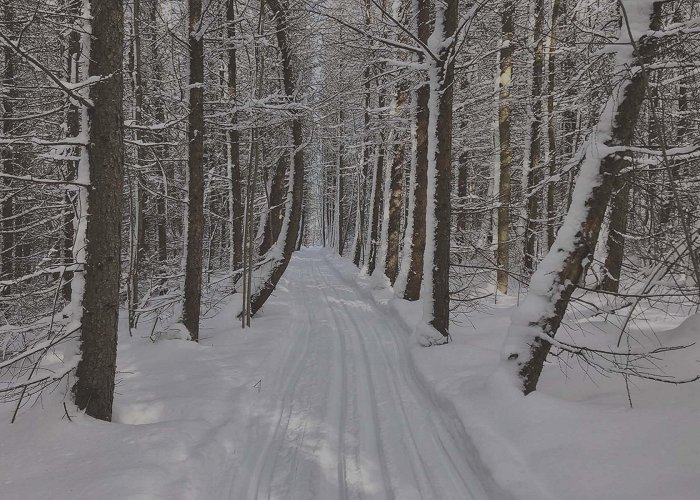 Beaver Valley Ski Club About Us – Beaver Valley Nordic Ski Club photo