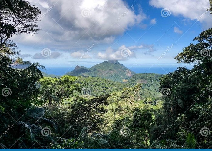 Tijuca Forest National Park Pedra Da GÃ¡vea Rock of the Topsail, View from Tijuca Forest ... photo