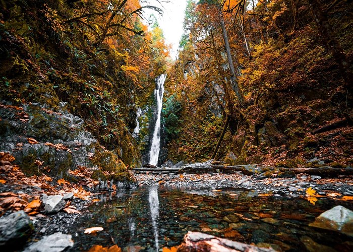 Goldstream Provincial Park Things to Do in Langford in 2024 | Expedia photo