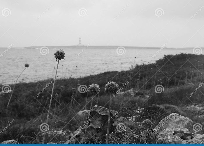 Illa de l'Aire Lighthouse Punta Prima Menorca Stock Photos - Free & Royalty-Free Stock ... photo