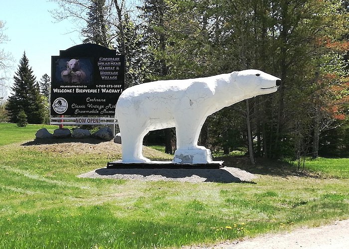 Polar Bear Habitat Heritage Village Chimo moved to new home - Timmins News photo