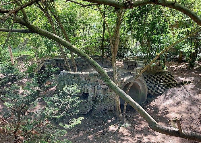 Kinderboerderij Nieuw Rotsoord Uit Met Kinderen photo