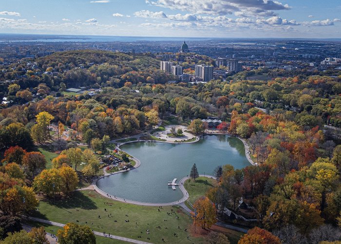 Beaver Lake Le Lac aux Castors en automne / Beaver Lake in autumn : r/montreal photo