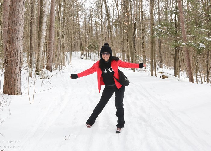 Springwater Provincial Park Hiking Springwater Provincial Park and Nottawasaga Lookout Nature ... photo