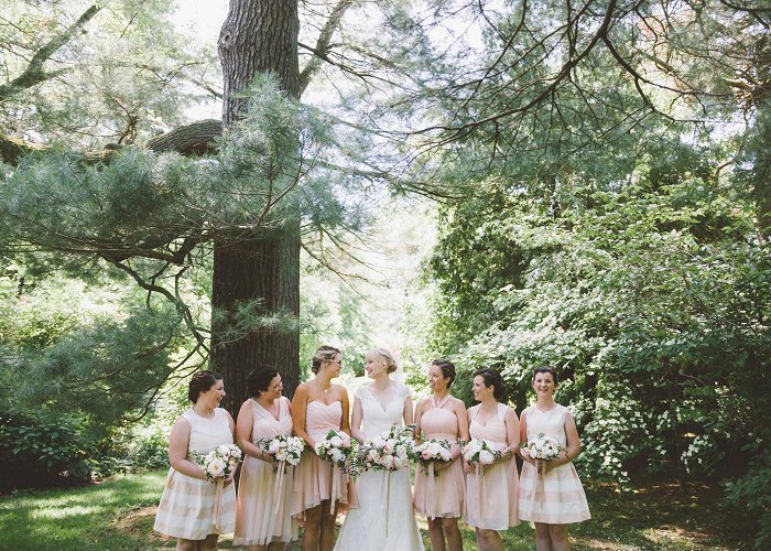 Kurtz Orchards Gracewood Estate Weddings - Kurtz Orchards photo