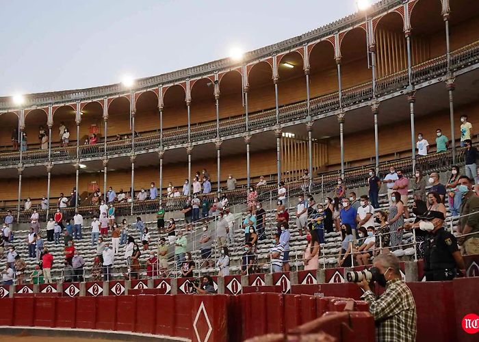 Plaza de toros La Glorieta Fotos: Salamanca vuelve a citarse con los toros | El Norte de Castilla photo