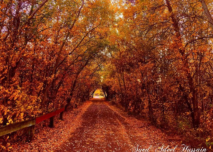 Mill Creek Ravine Mill Creek Ravine - Fall 2020 : r/Edmonton photo