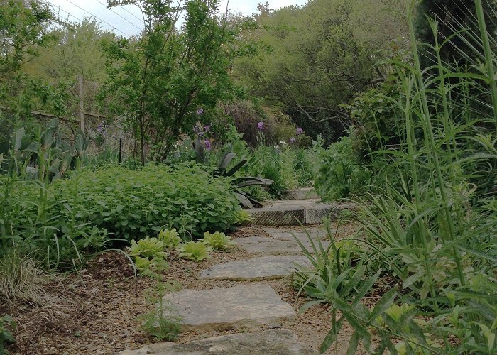 Reader Rock Garden Our Story — Stronger Than Dirt Gardens photo