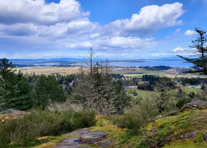 Mount Douglas Park Up and down Bear Hill all whilst avoiding this sporadic hail. : r ... photo