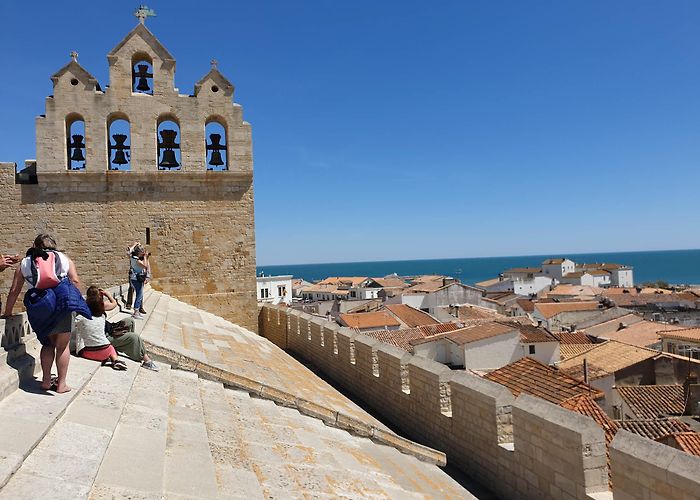 Le Camargue Les Saintes-Maries-de-la-Mer | Villes Sanctuaires en France photo