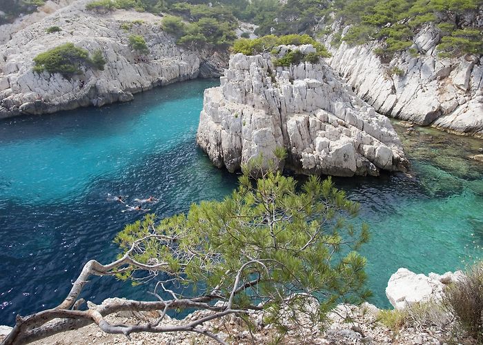 Calanque Sugiton Calanque de Sugiton - Calanques Marseille | MarseilleTourisme.fr photo
