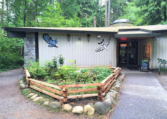 Lynn Canyon Ecology Ctr Nature Resources from the Lynn Canyon Ecology Centre photo