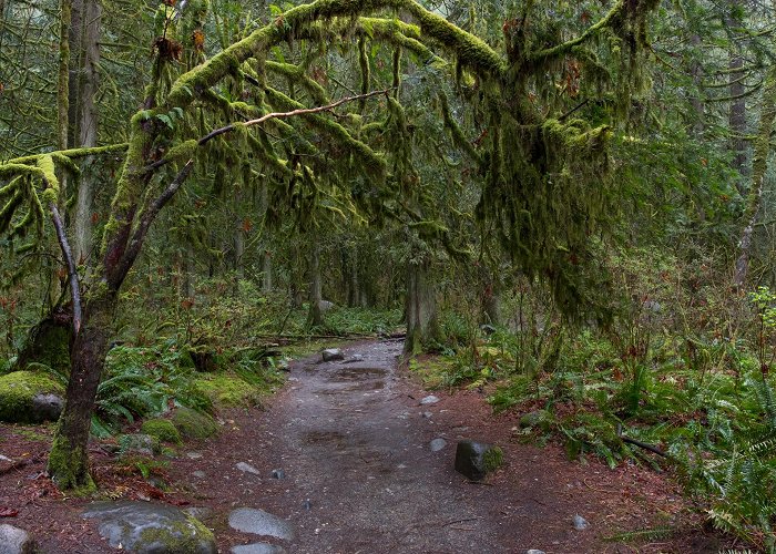 Lynn Canyon Ecology Ctr Hiking Trails in Lynn Canyon Park & Suspension Bridge in Lynn Valley photo