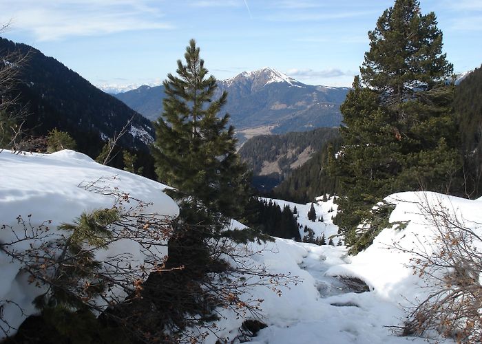 Tresca Visit Tesero: 2024 Travel Guide for Tesero, Trentino-Alto Adige ... photo