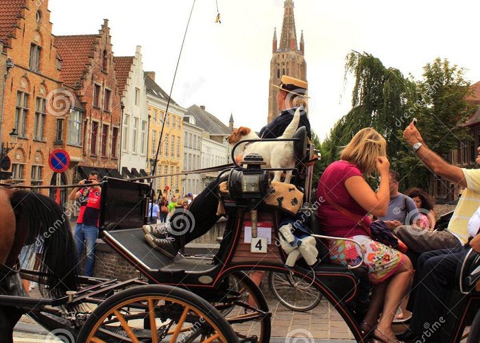 Sight-seeing Bruges in a Carriage Carriage Ride Trip Bruges Old City Belgium Editorial Image - Image ... photo