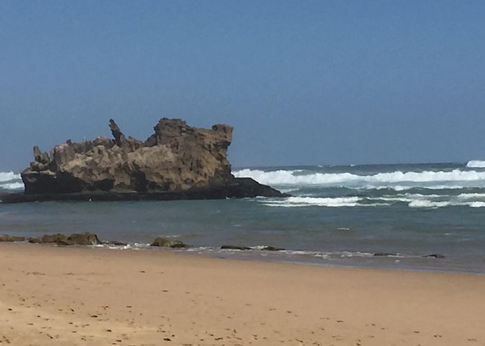 Brenton Blue Butterfly Nature Reserve Brenton Beach Tours - Book Now | Expedia photo