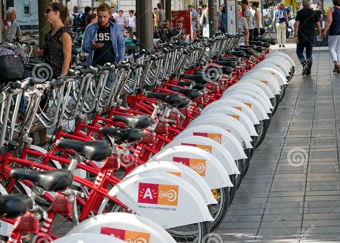 Parking Meir Rental Bikes at a Velo Station in Antwerp Editorial Stock Photo ... photo