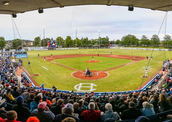 Royal Athletic Park 8 Facts About Victoria HarbourCats Baseball Games - Facts.net photo