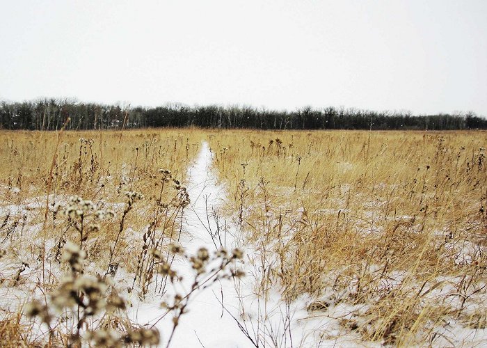 Living Prairie Museum No hibernation for outdoor education – Our Communities photo