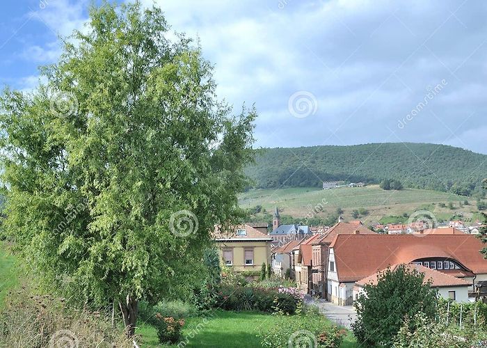 Stadtpfarrkirche St. Martin 411 Sankt Martin Stock Photos - Free & Royalty-Free Stock Photos ... photo