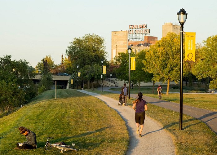 Parc Macdonald Adventure Through Montreal's Urban Parks photo